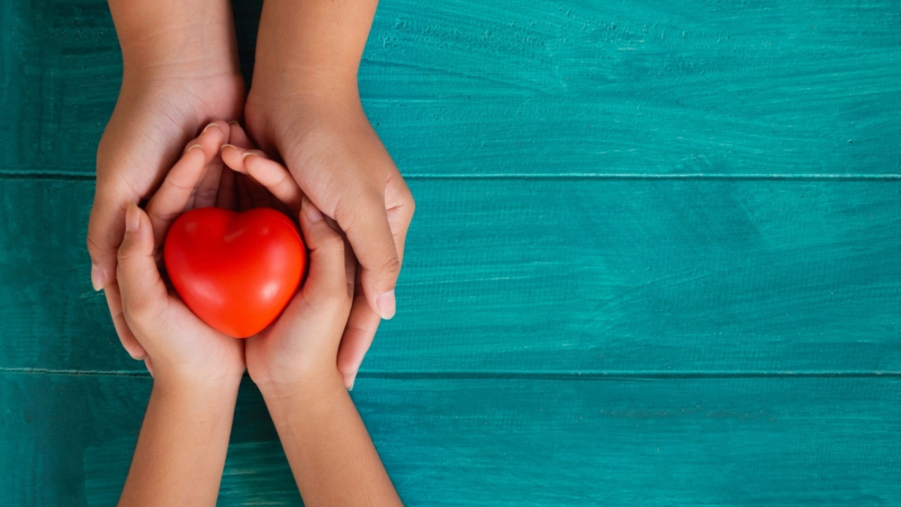 Student Safety and Wellness Training | Training for Educators, image size:1280x720